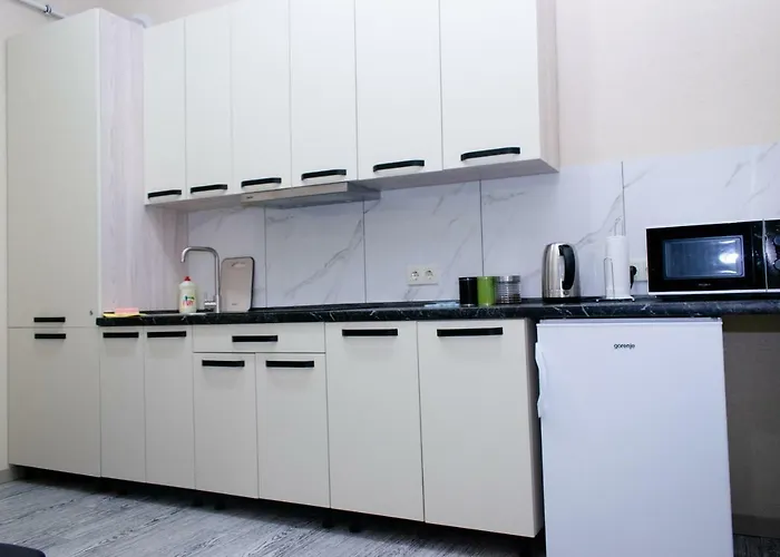 Apartment Barvy Lvova On Kostyushka St